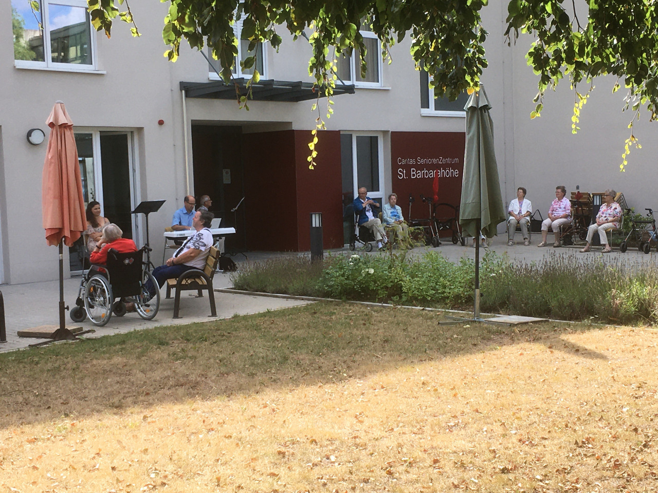 Bild